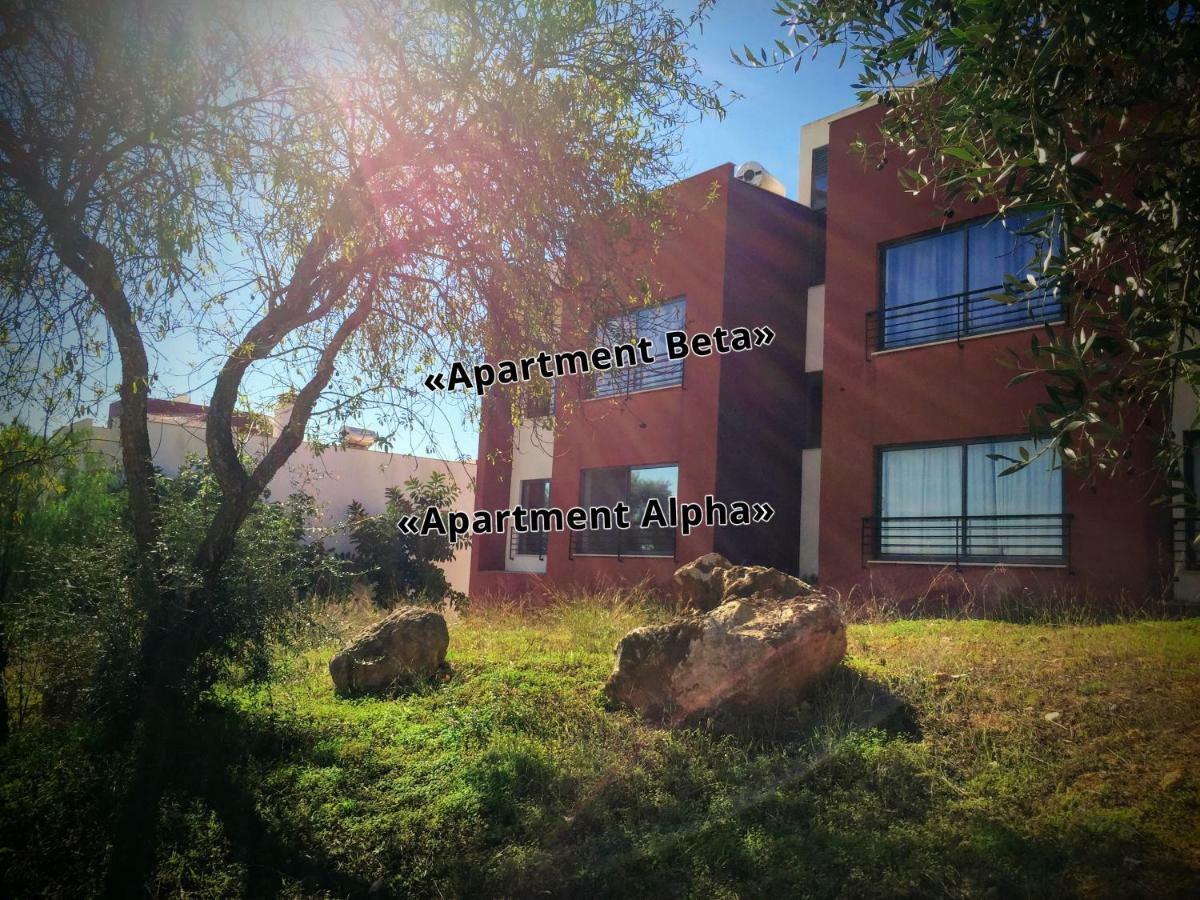 Apartment Alpha - 2 Bedrooms, Private Rooftop Patio With Hot Tub, Bbq And View Ferragudo  Exterior foto